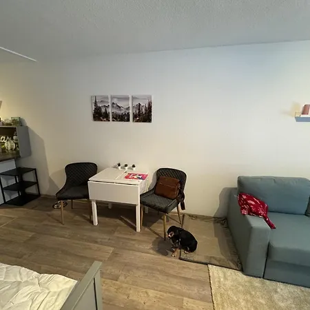 Maja Unmittelbar An Der Skipiste Apartment *