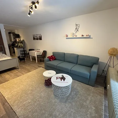 Maja Unmittelbar An Der Skipiste