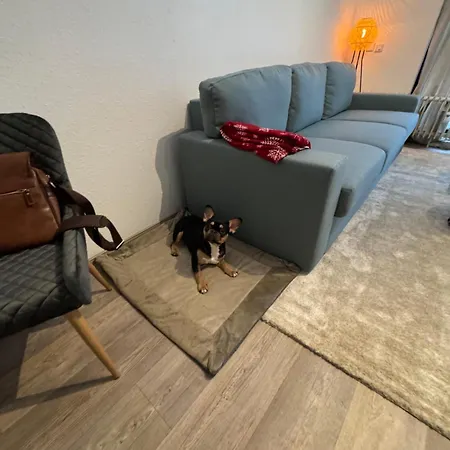 Maja Unmittelbar An Der Skipiste Apartment Winterberg