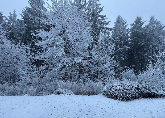 Maja Unmittelbar An Der Skipiste