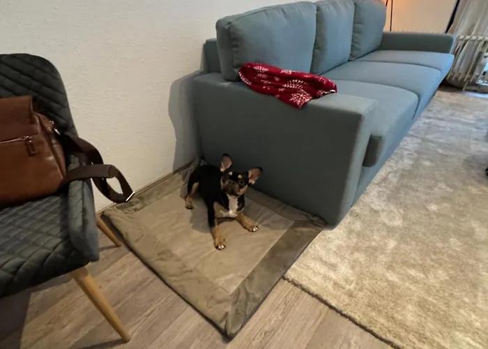 Maja Unmittelbar An Der Skipiste Apartment Winterberg